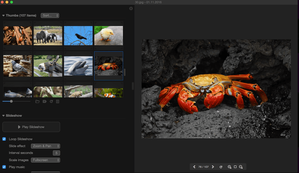 Image Viewer For Mac